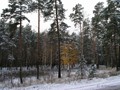 Предзима-03-1-216