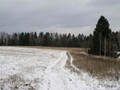 Предзима-03-2-253