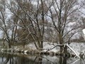 Предзима-03-2-259