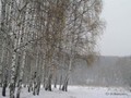 Предзима-03-2-269