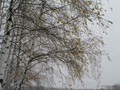Предзима-03-2-270
