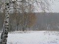 Предзима-03-2-276