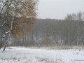 Предзима-03-2-277