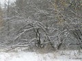 Предзима-03-2-298