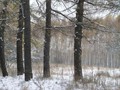 Предзима-03-2-316