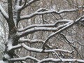 Предзима-03-2-382