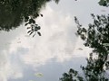9-Печать-050
