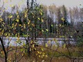 9-Печать-067