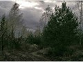 9-Печать-069