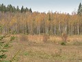 9-Печать-128