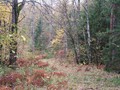 9-Печать-142