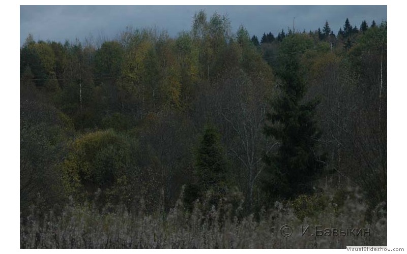 www  DSC_207816 сентябрь