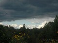 www  DSC_166716 сентябрь