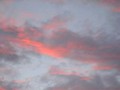 www  DSC_172216 сентябрь