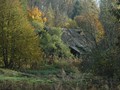 www  DSC_184416 сентябрь