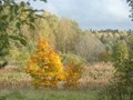 www  DSC_184716 сентябрь