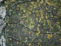www  DSC_186816 сентябрь