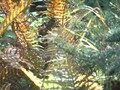 www  DSC_191916 сентябрь