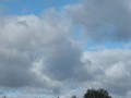 www  DSC_201116 сентябрь