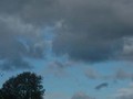 www  DSC_210016 сентябрь