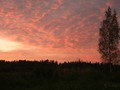 www  IMG_505716 сентябрь
